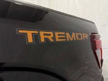 2026 Ford F-150 Tremor - Photo 8