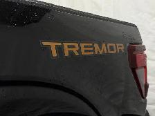 2026 Ford F-150 Tremor - Photo 9