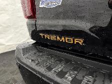 2026 Ford F-150 Tremor - Photo 14