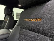2026 Ford F-150 Tremor - Photo 22