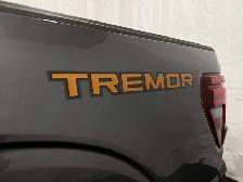 2026 Ford F-150 Tremor - Photo 8