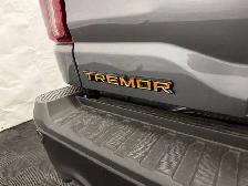 2026 Ford F-150 Tremor - Photo 13