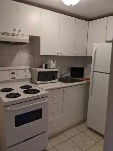 FULLY FURNISHED ONE BEDROOM UNIT - Photo 2