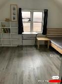 Rooms for Rent Near Yorkdale Mall — Available September 1 - Photo 3