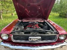 1966 Ford Mustang Coupe - Photo 9