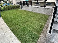 Landscaping,Concrete, Fencing,Paving & Much More! - Photo 2