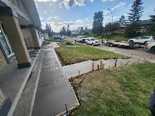 Landscaping,Concrete, Fencing,Paving & Much More! - Photo 6
