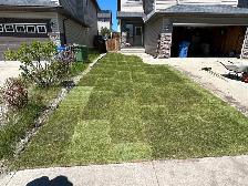 Landscaping,Concrete, Fencing,Paving & Much More! - Photo 8
