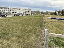 Landscaping,Concrete, Fencing,Paving & Much More! - Photo 9