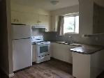 3 Bedroom Basement unit Near Bonnie Doon Area - Photo 2