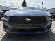 2026 Ford Mustang I4CP - Photo 4