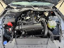2026 Ford Mustang I4CP - Photo 31