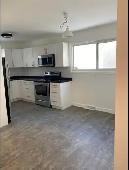 326 Milford for RENT MAIN FLOOR  2 Bed 1 Bath - Photo 4