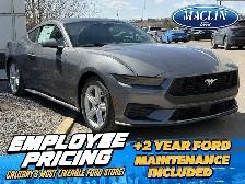 2026 Ford Mustang I4CP