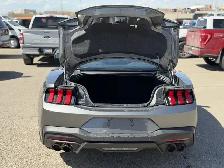 2026 Ford Mustang I4CP - Photo 10