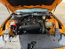 2026 Ford Mustang I4CP - Photo 30