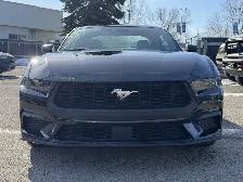 2026 Ford Mustang I4CP - Photo 4
