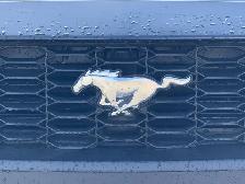 2026 Ford Mustang I4CP - Photo 5