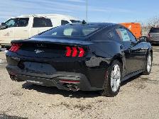 2026 Ford Mustang I4CP - Photo 11