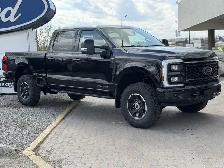 2026 Ford Super Duty F-350 SRW - Photo 2