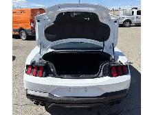 2026 Ford Mustang I4CP - Photo 9