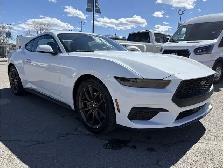 2026 Ford Mustang I4CP - Photo 11