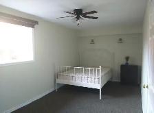 room for rent  near St.Clair. College and all amenities - Photo 2
