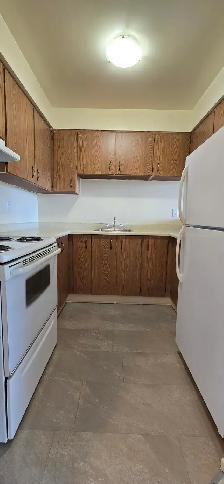 Cozy 1 Bedroom Apartment, only $1549! Nov 1st, 2026 - Photo 4
