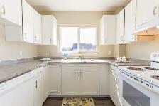 4 Bedroom Townhouse with Front Patio & Backyard OPEN HOUSE - Photo 4