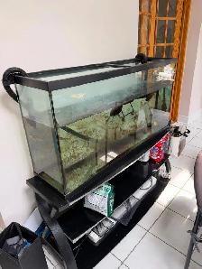 Turtle and fish tank aquarium - Photo 2