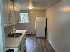 Bright 1 or 2 Bedroom Apartment for Rent - Photo 7
