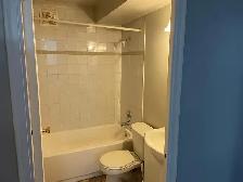 Bright 1 or 2 Bedroom Apartment for Rent - Photo 8