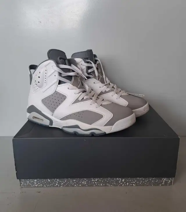 Nike Air Jordan 6 Retro (31595020)