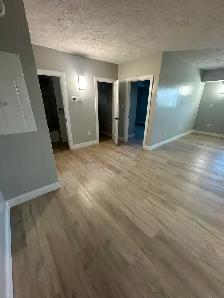 1 Bedroom Apartment Available September in Minnow Lake Area - Photo 3
