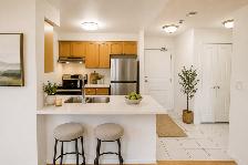 All-Inclusive Top-Floor Condo – Brampton, Overlooking the Park! - Photo 3