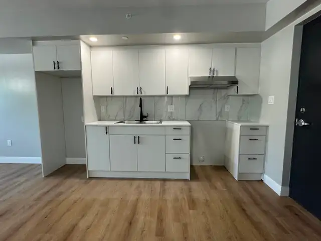 New 2 bedroom 2 Bathroom in Minnow Lake