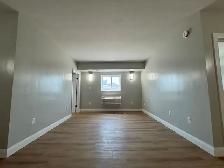 New 2 bedroom 2 Bathroom in Minnow Lake - Photo 2