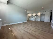 New 2 bedroom 2 Bathroom in Minnow Lake - Photo 3