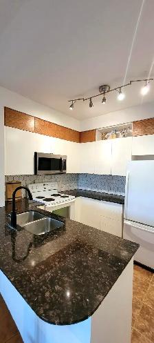 2 Beds 2 Baths - Apartment - Photo 2