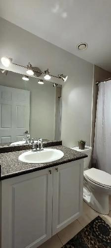 2 Beds 2 Baths - Apartment - Photo 7
