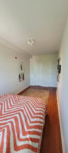 2 Beds 2 Baths - Apartment - Photo 10