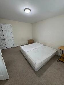Shared Room For Rent