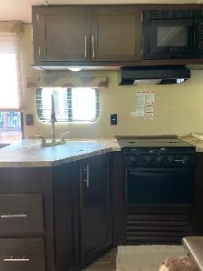 2016 Forest River Cherokee Grey Wolf 24RK Limited Edition - Photo 5