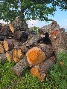 Wood for Sale