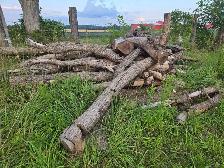 Wood for Sale - Photo 3