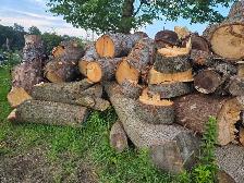 Wood for Sale - Photo 5