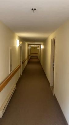 3½ Beauport-Limoilou (629$/654$ avec stationnement) Animaux - Photo 2