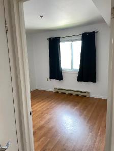 3½ Beauport-Limoilou (629$/654$ avec stationnement) Animaux - Photo 5