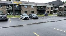 3½ Beauport-Limoilou (629$/654$ avec stationnement) Animaux - Photo 10
