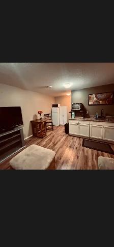 FULLY FURNISHED BASEMENT SUITE - Photo 2